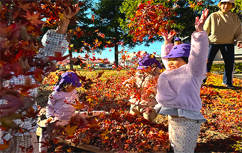 自然と触れ合う保育
